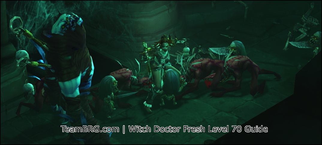 witch doctor diablo 3