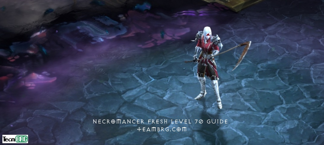 S28 Necromancer Level Guide | | Team BRG